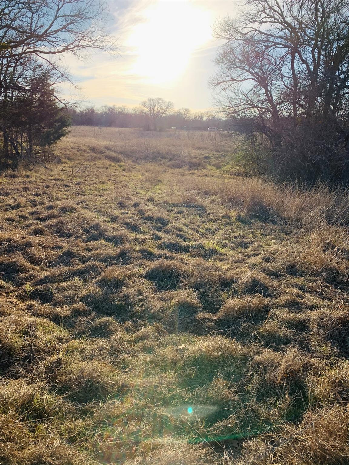 2915 Tumbleweed Trl, Dale, TX 78616