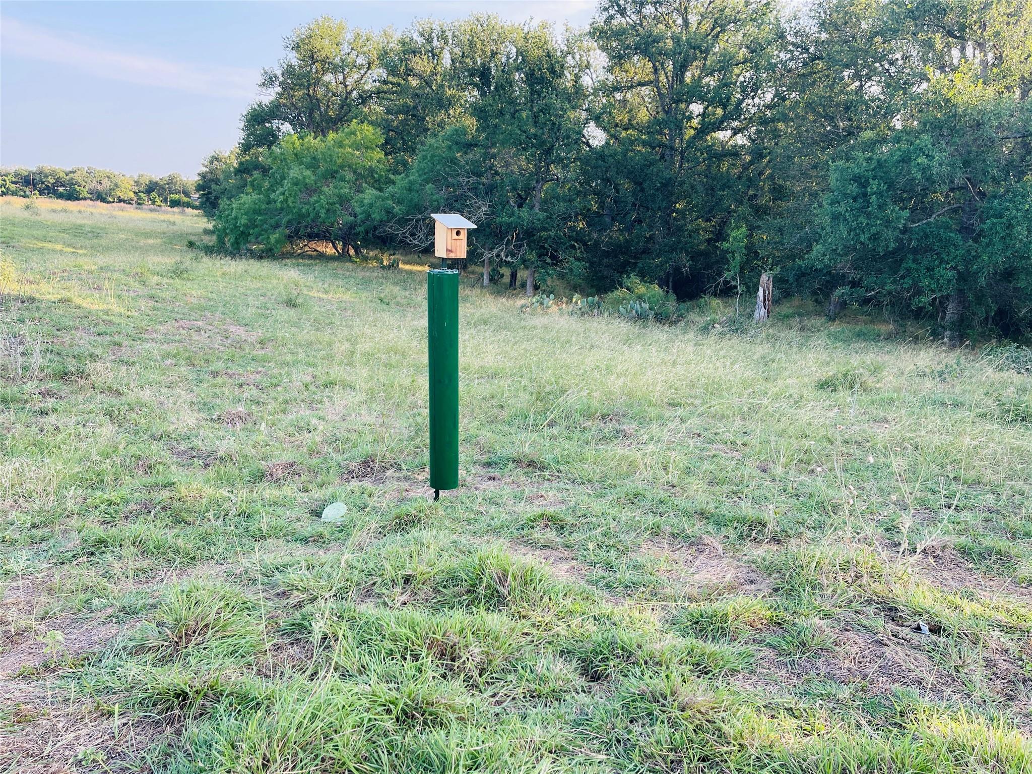 2915 Tumbleweed Trl, Dale, TX 78616