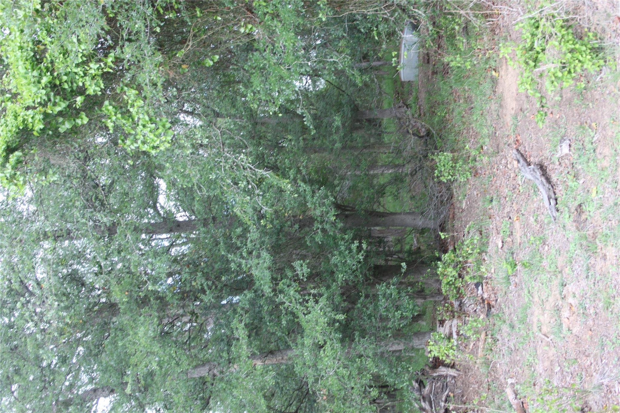 2915 Tumbleweed Trl, Dale, TX 78616