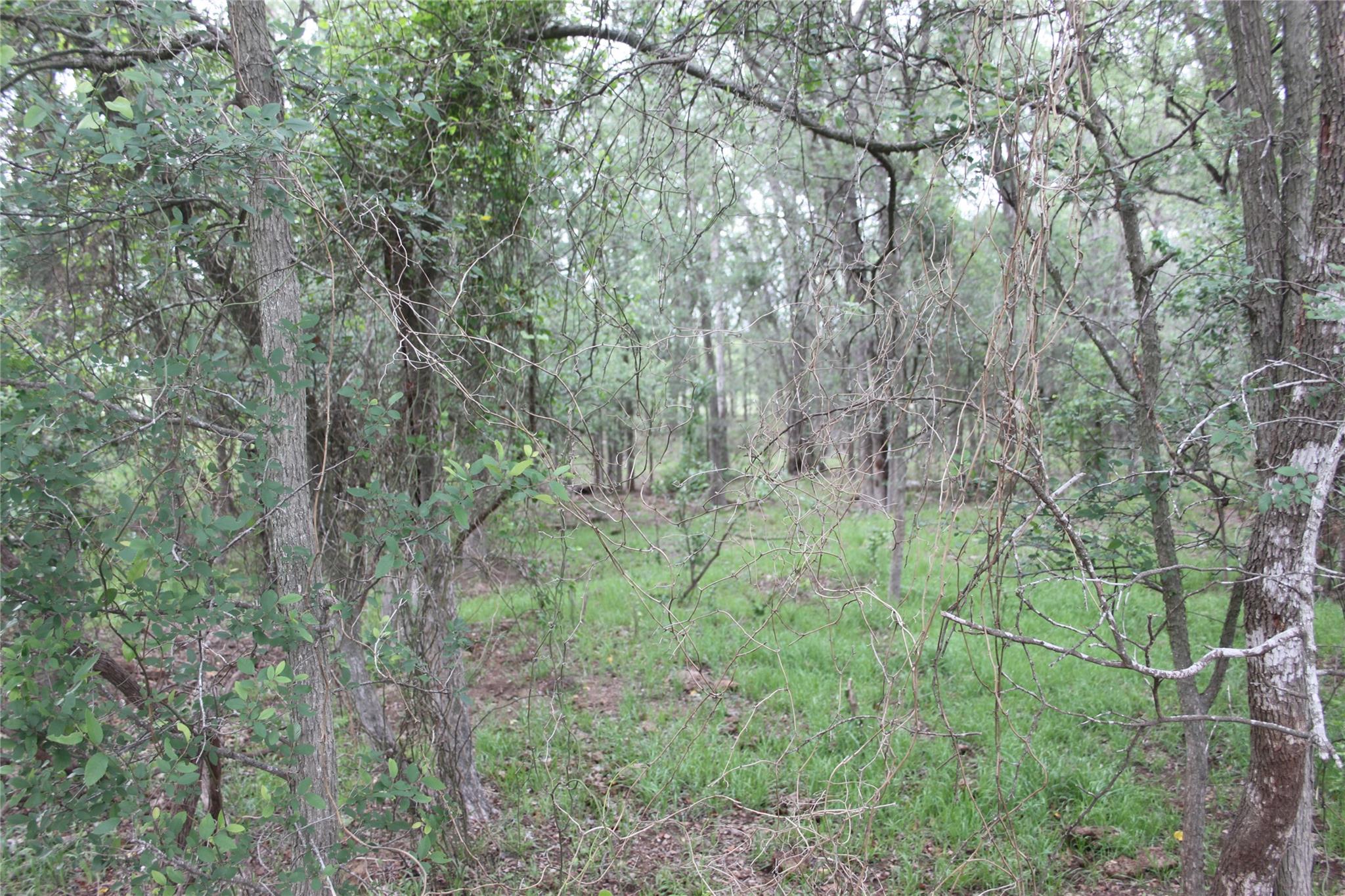 2915 Tumbleweed Trl, Dale, TX 78616