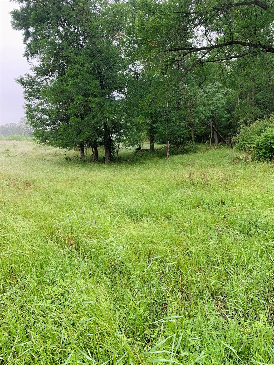 2915 Tumbleweed Trl, Dale, TX 78616