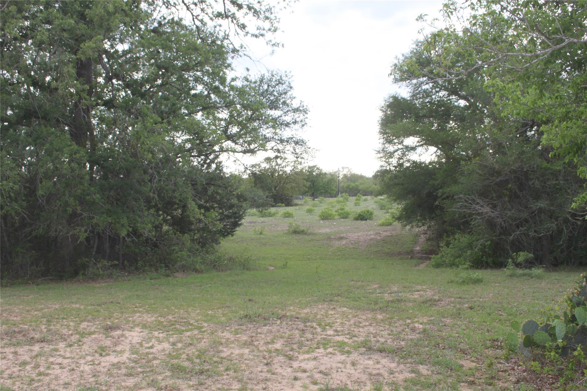 2915 Tumbleweed Trl, Dale, TX 78616