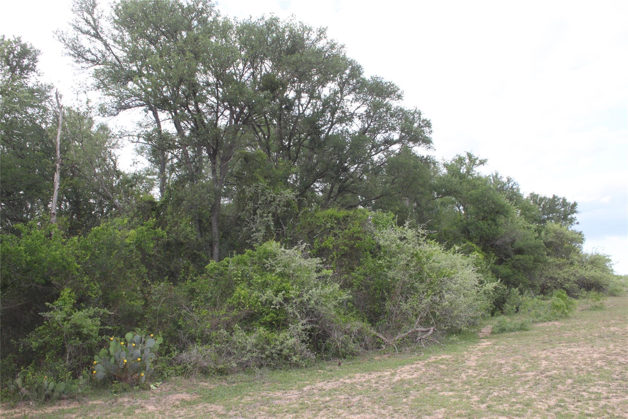 2915 Tumbleweed Trl, Dale, TX 78616