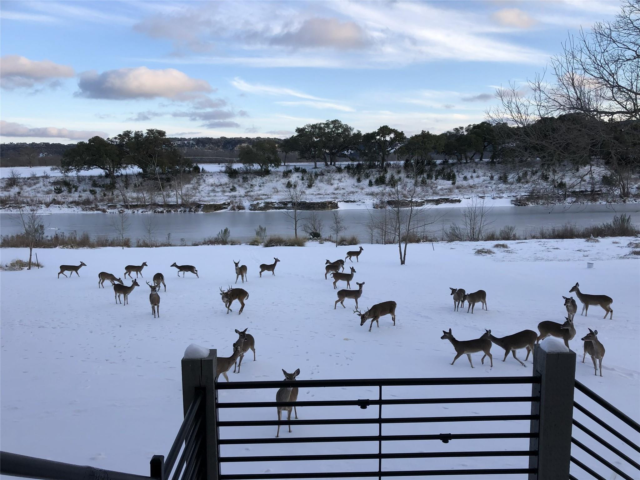 2908 Flite Acres Rd, Wimberley, TX 78676