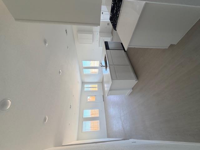 1906 Wood Warbler, New Braunfels, TX 78130