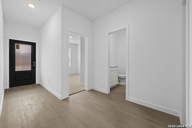 1906 Wood Warbler, New Braunfels, TX 78130