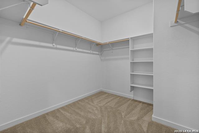 1906 Wood Warbler, New Braunfels, TX 78130