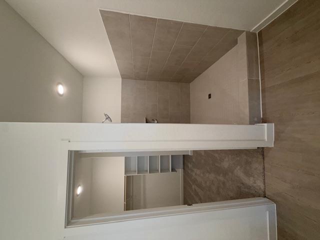 1906 Wood Warbler, New Braunfels, TX 78130