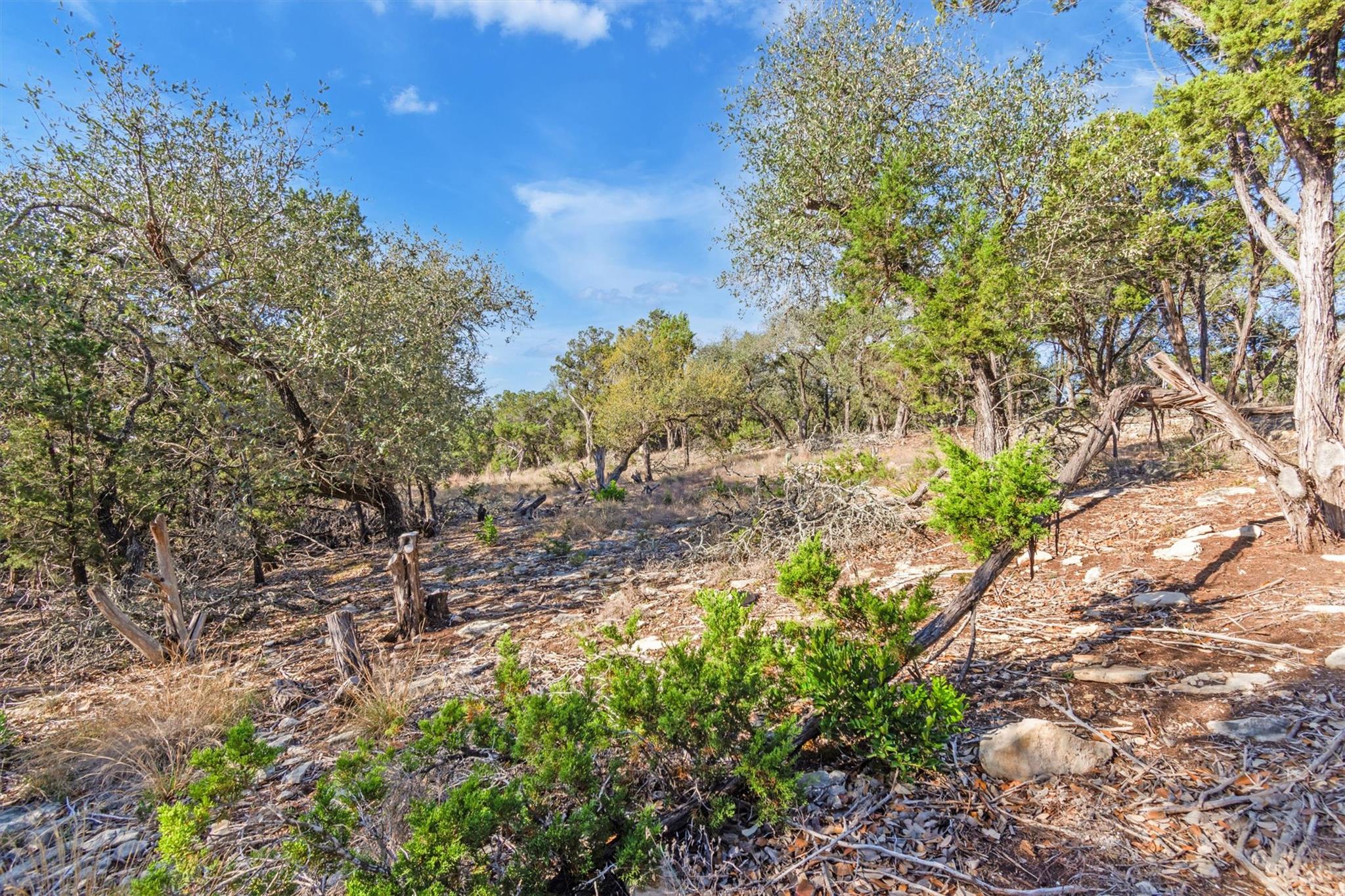 196 Lakewood Ct, Canyon Lake, TX 78133