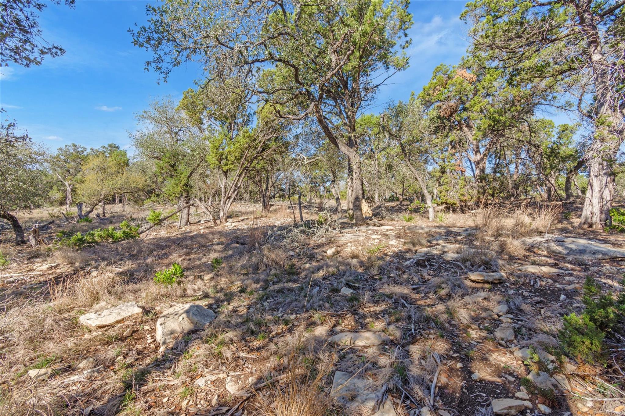 196 Lakewood Ct, Canyon Lake, TX 78133