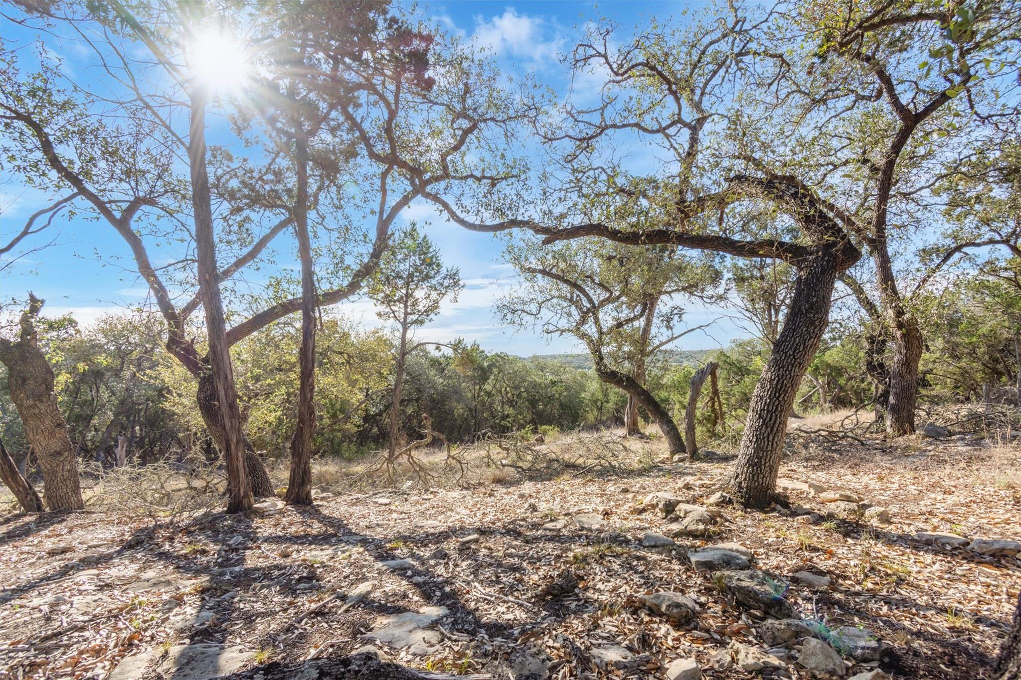 196 Lakewood Ct, Canyon Lake, TX 78133