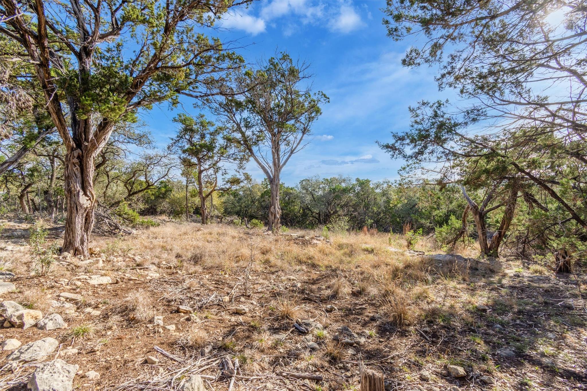 196 Lakewood Ct, Canyon Lake, TX 78133