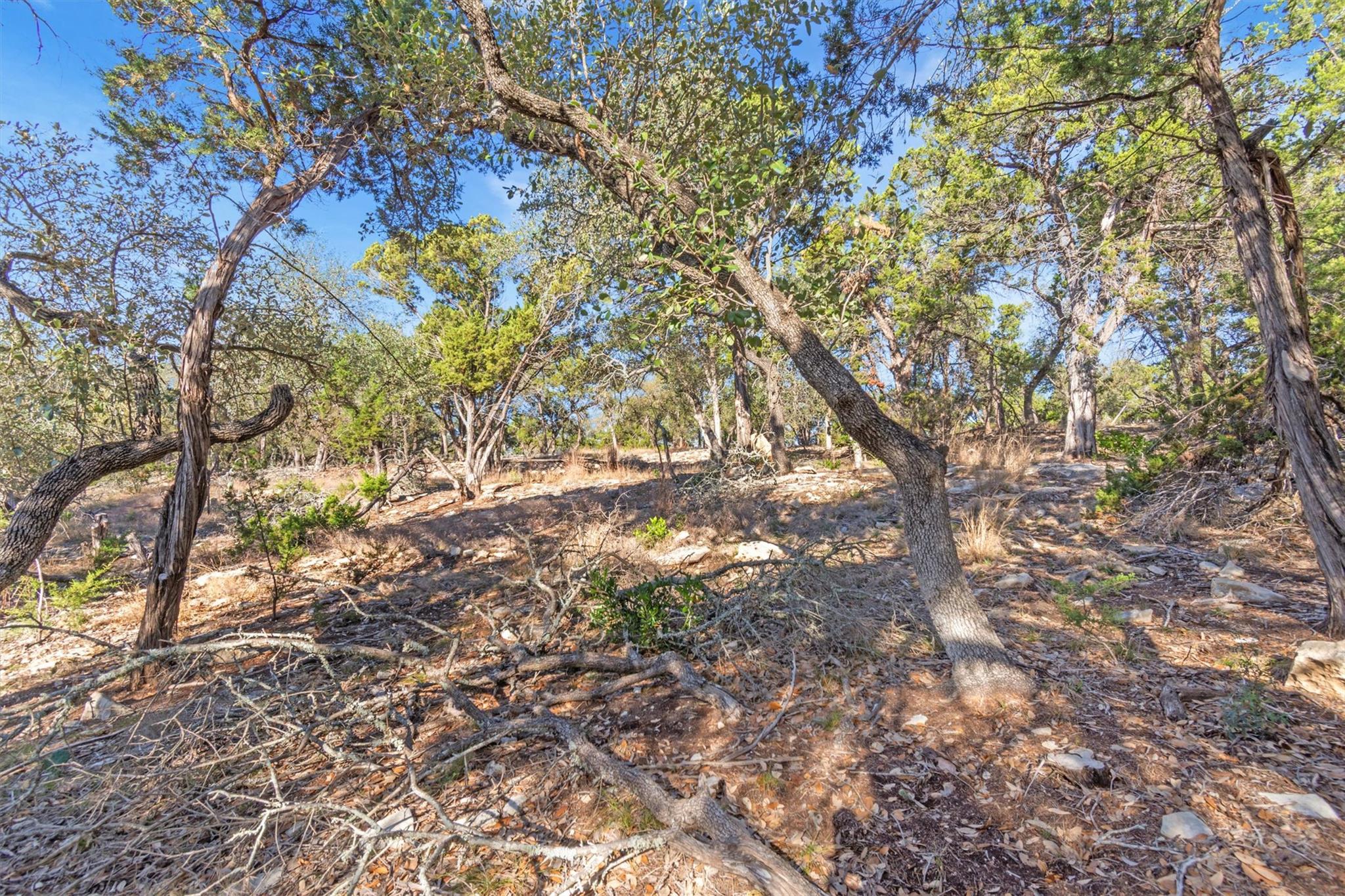 196 Lakewood Ct, Canyon Lake, TX 78133