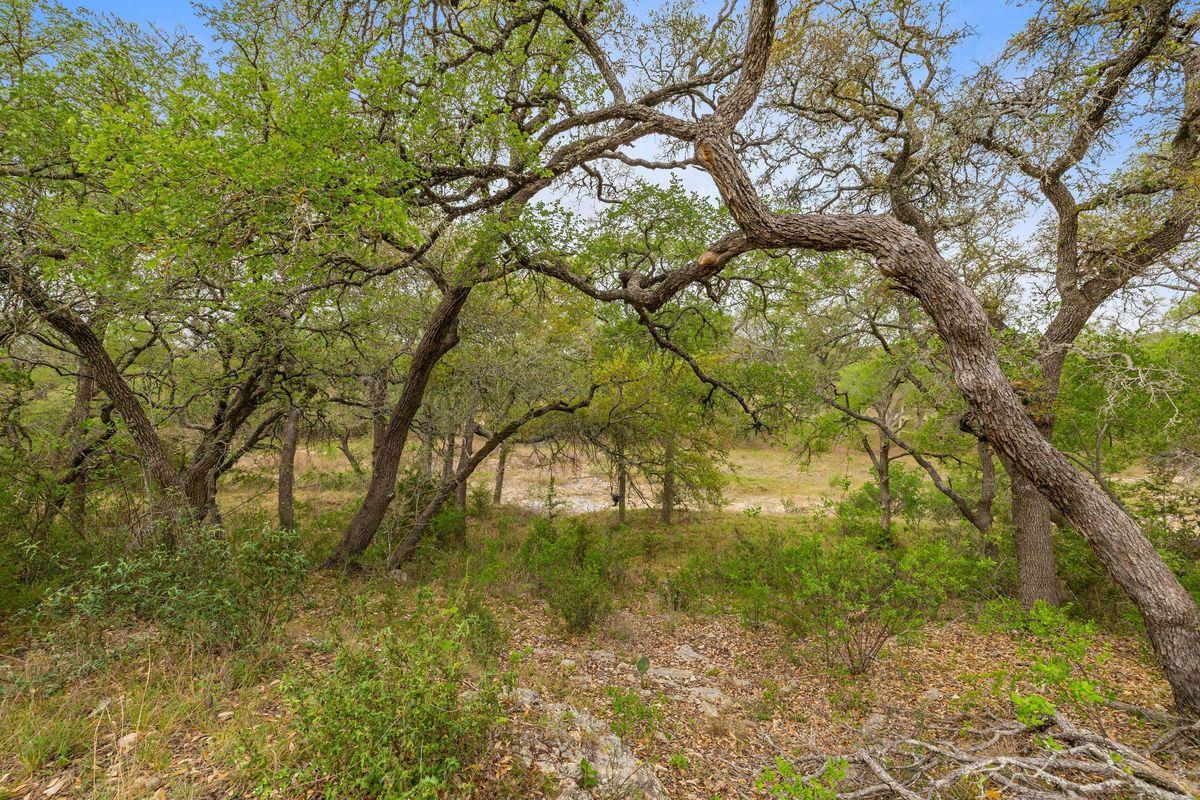 744 W Bartlett Dr, Buda, TX 78610