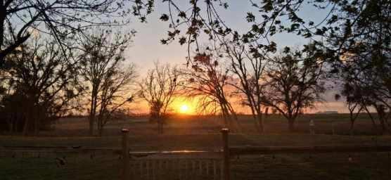 820 County Road 454, Taylor, TX 78615