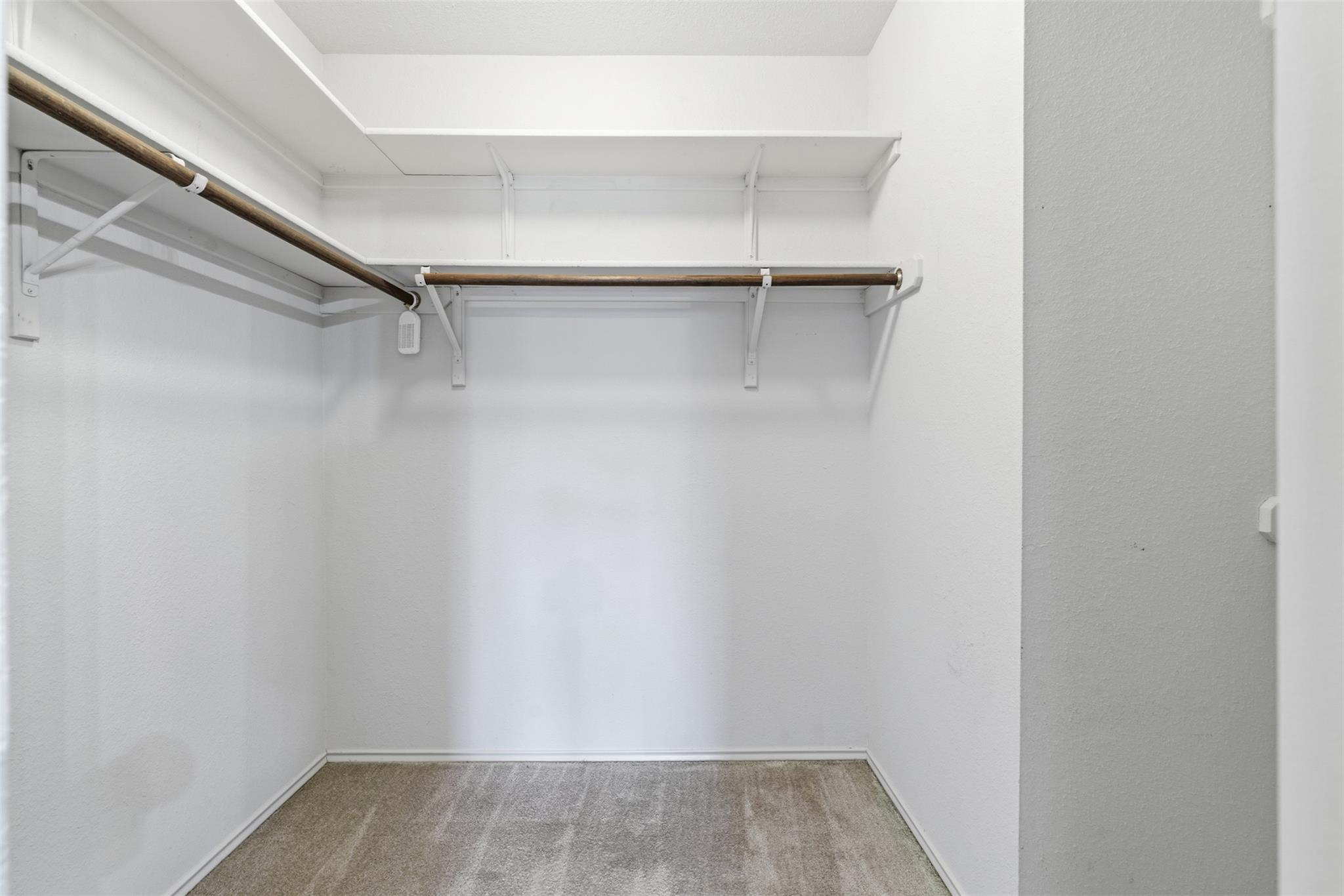 1017 Reynaldo St, Cedar Park, TX 78613