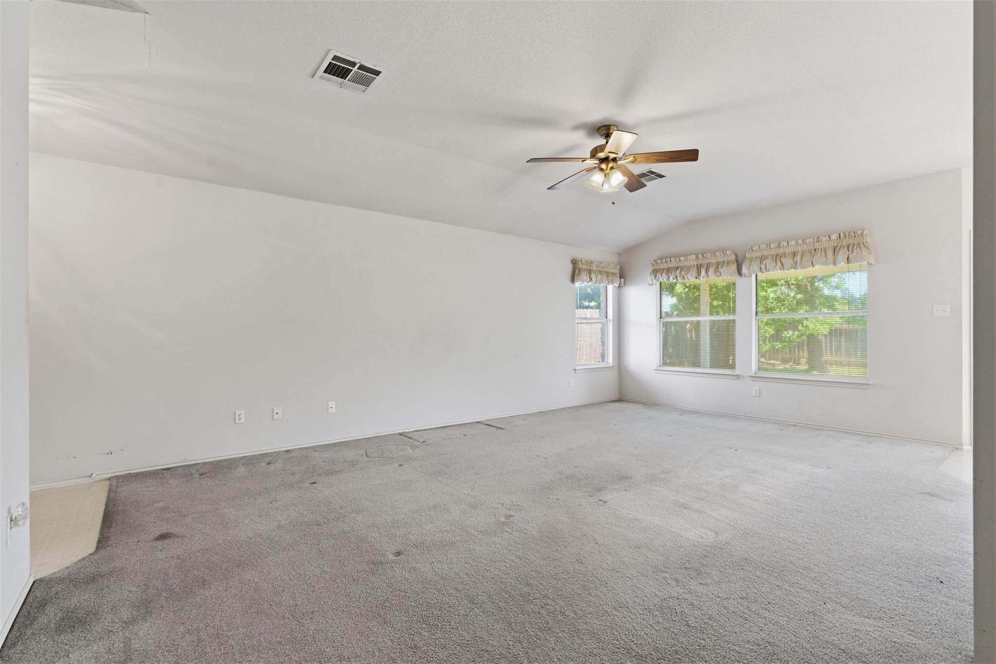 1017 Reynaldo St, Cedar Park, TX 78613