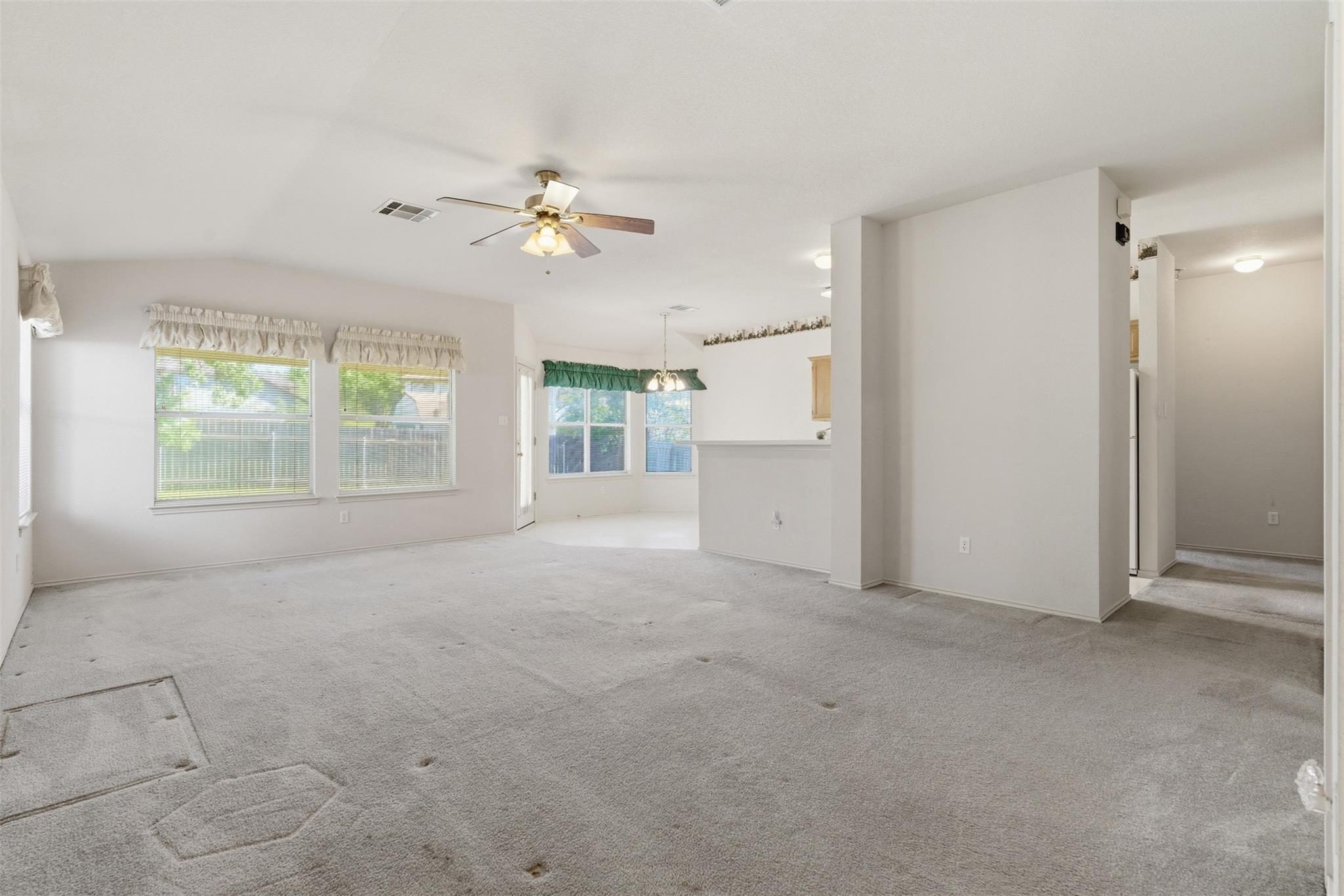 1017 Reynaldo St, Cedar Park, TX 78613