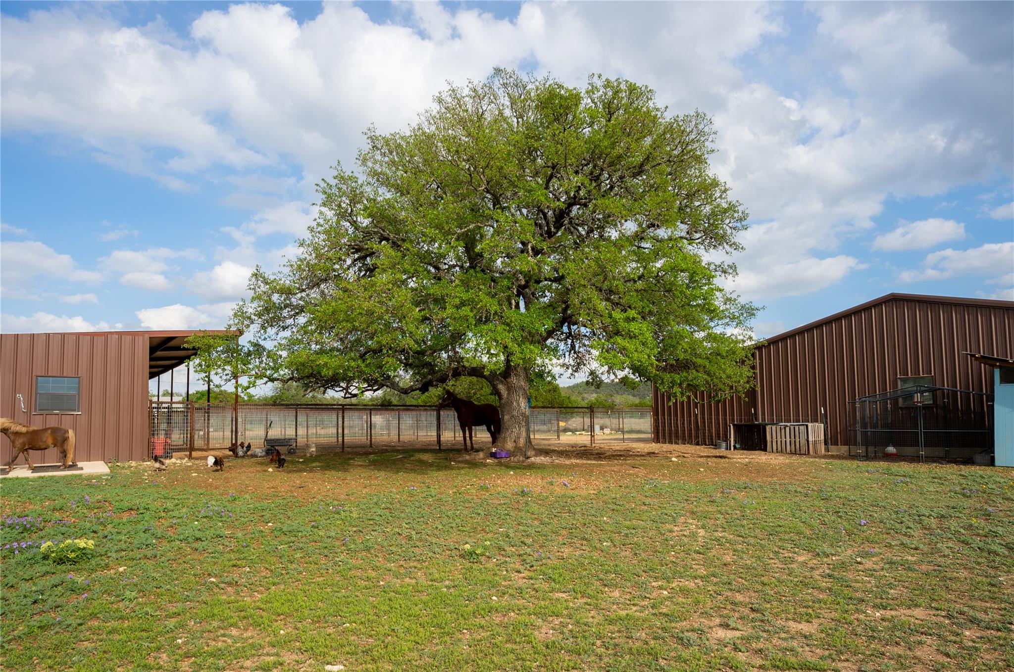 294 Hidden Creek Dr, Dripping Springs, TX 78620