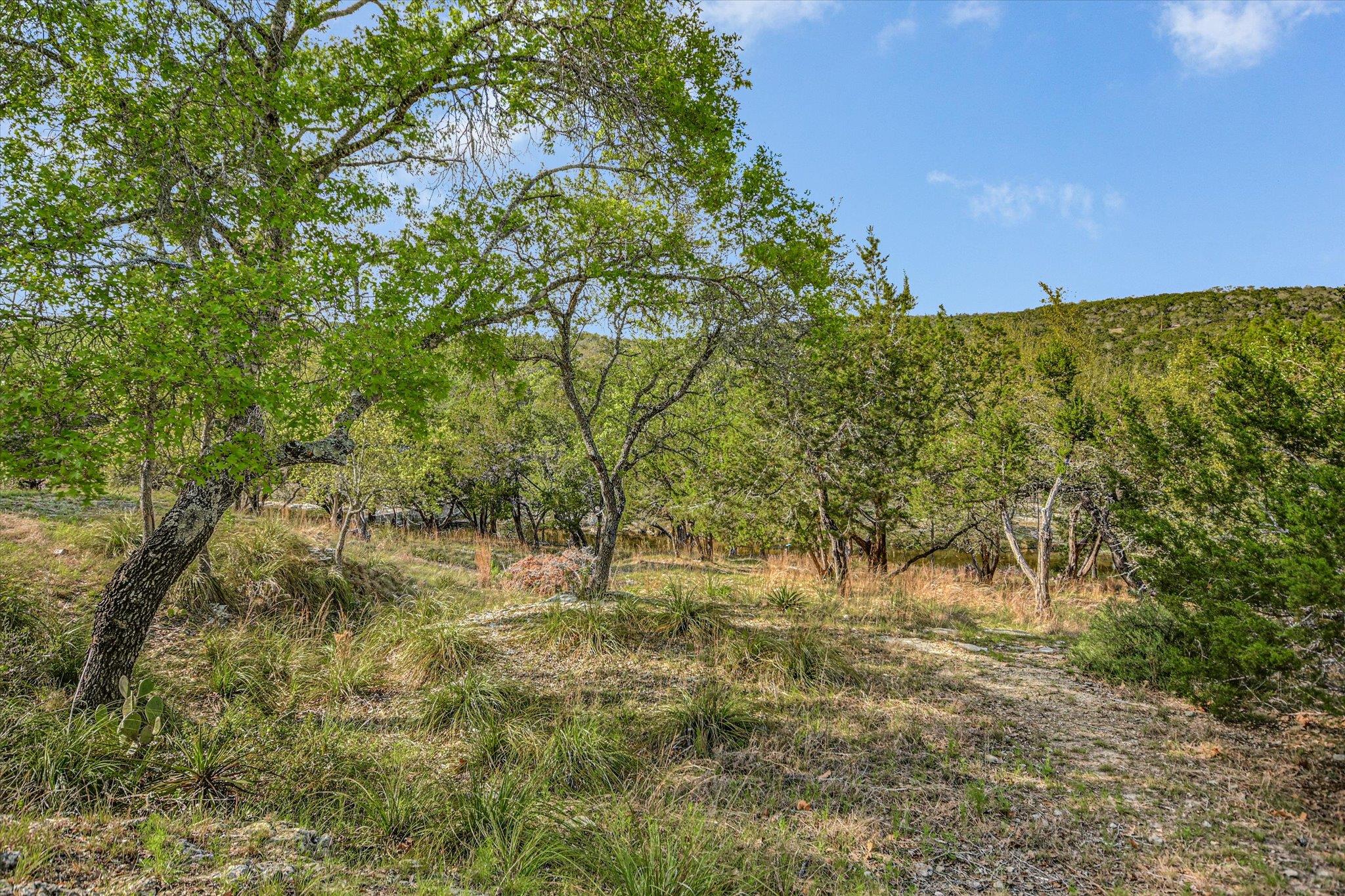 707 Deer Lake Rd, Wimberley, TX 78676