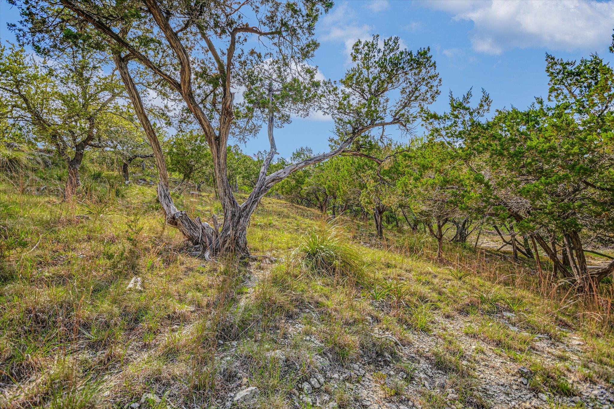 707 Deer Lake Rd, Wimberley, TX 78676