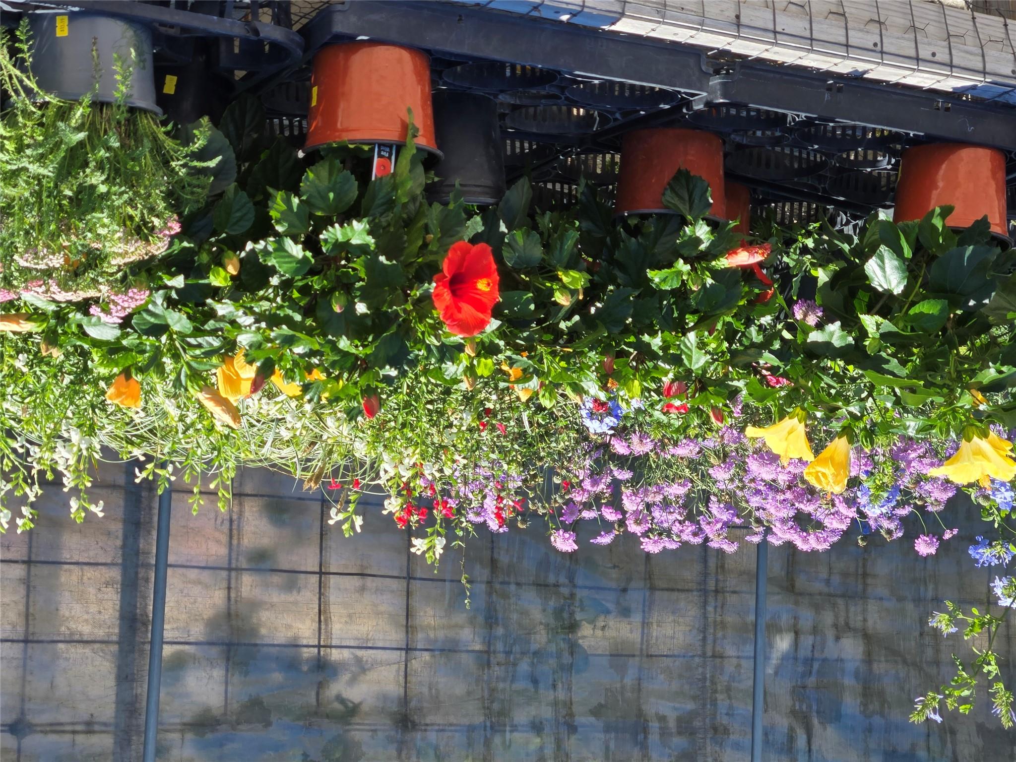 174 Falcon Dr, Luling, TX 78648