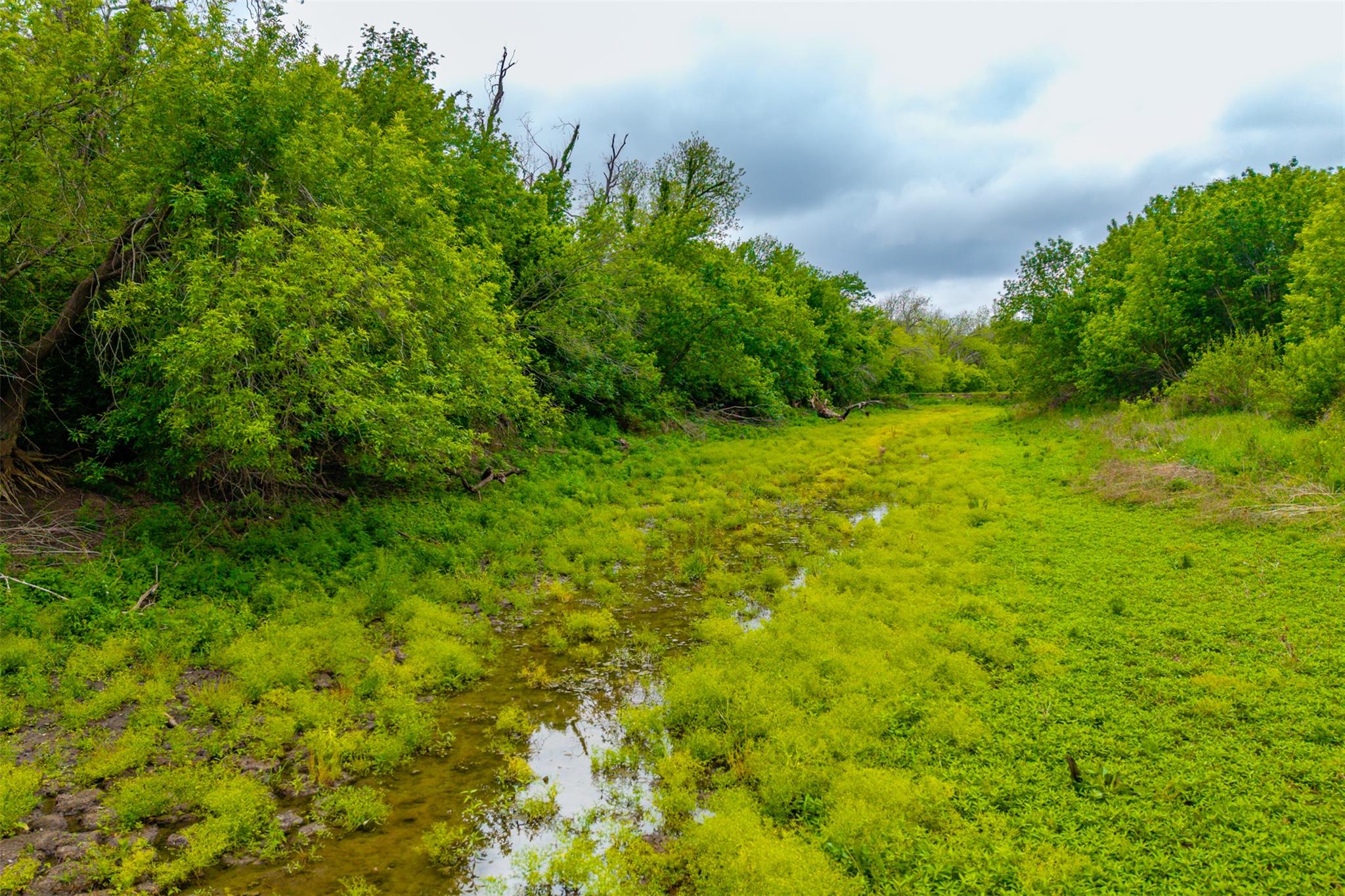 18.45 Acres Fm 1660, Taylor, TX 76574