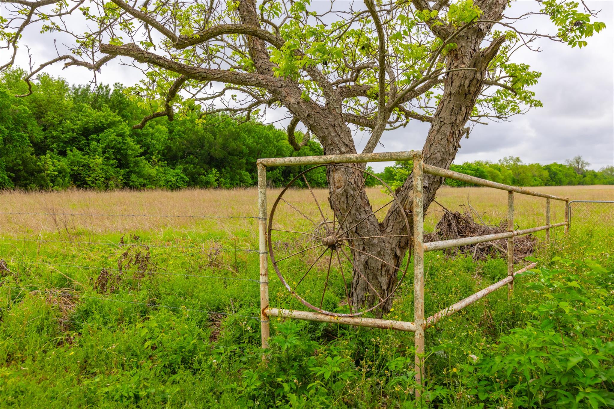 18.45 Acres Fm 1660, Taylor, TX 76574