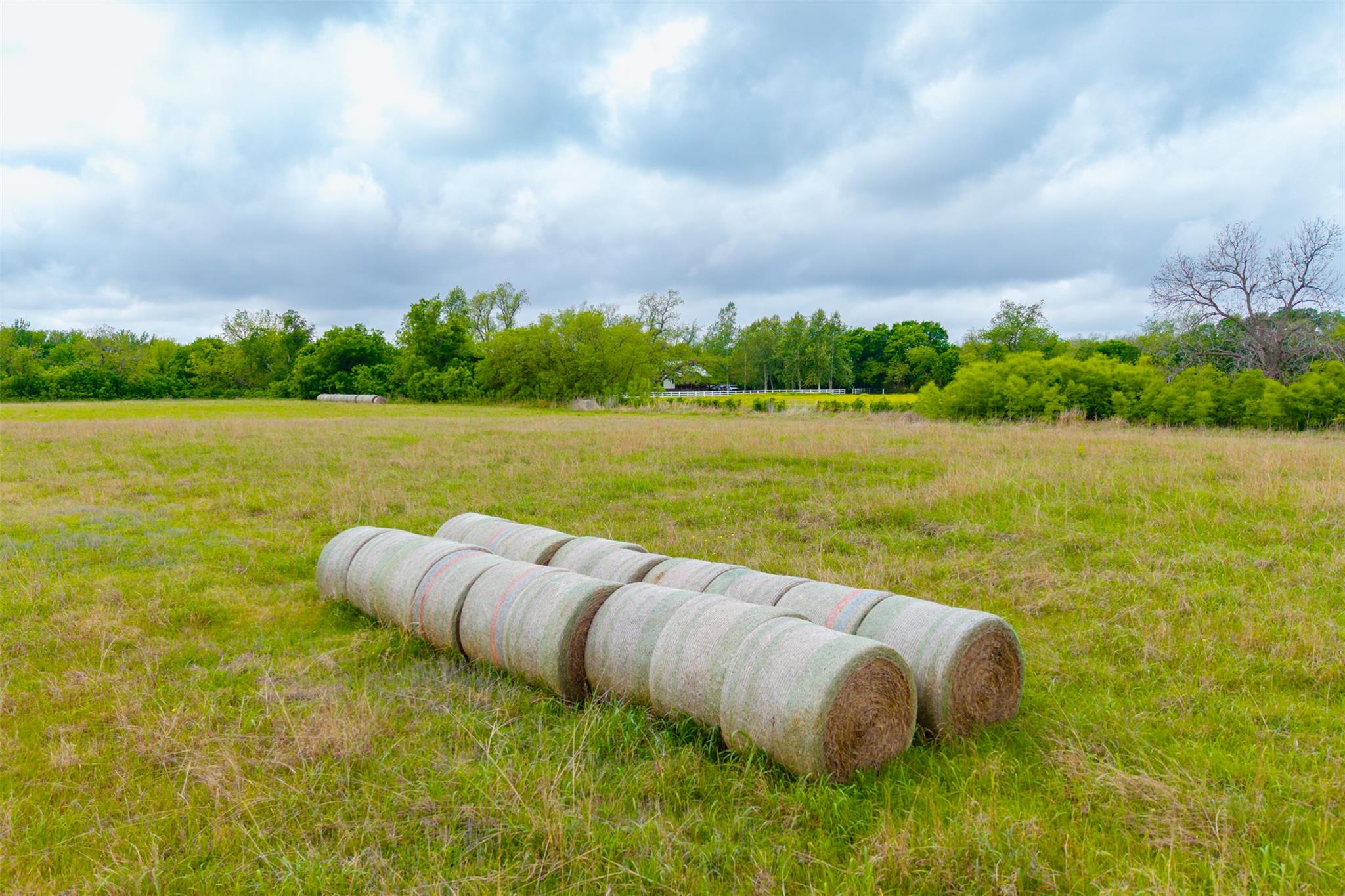 18.45 Acres Fm 1660, Taylor, TX 76574