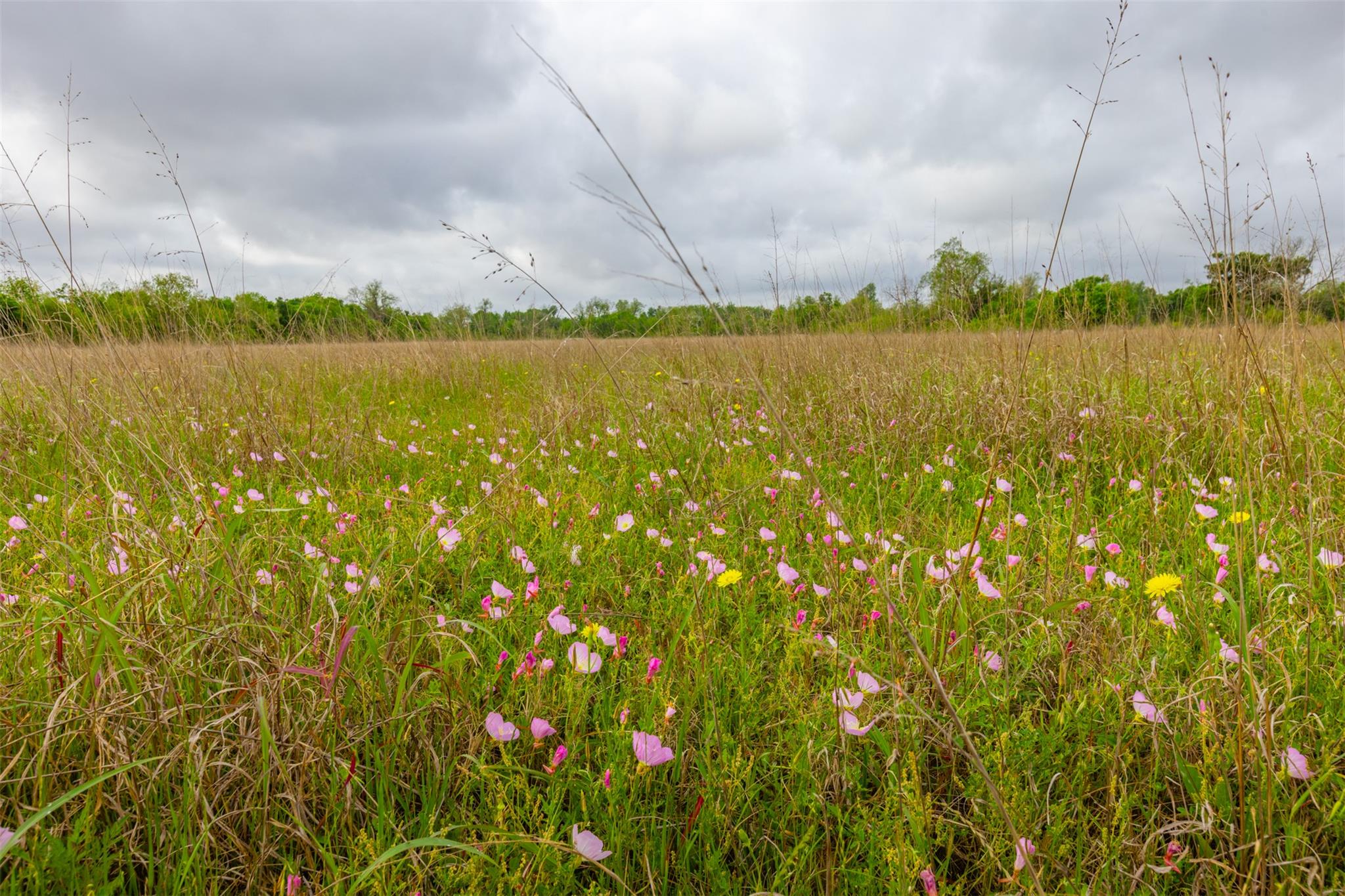 18.45 Acres Fm 1660, Taylor, TX 76574