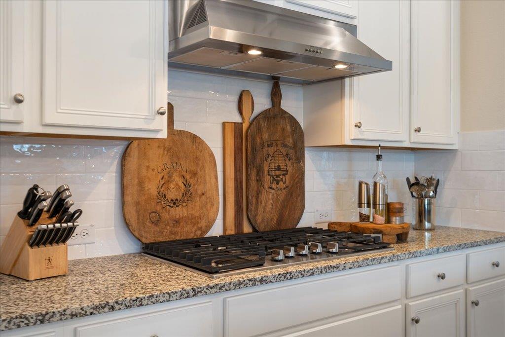 309 Singing Sumac Way, San Marcos, TX 78666