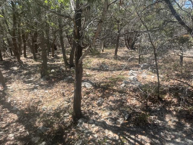 1381 Western Skies Dr, Spring Branch, TX 78070