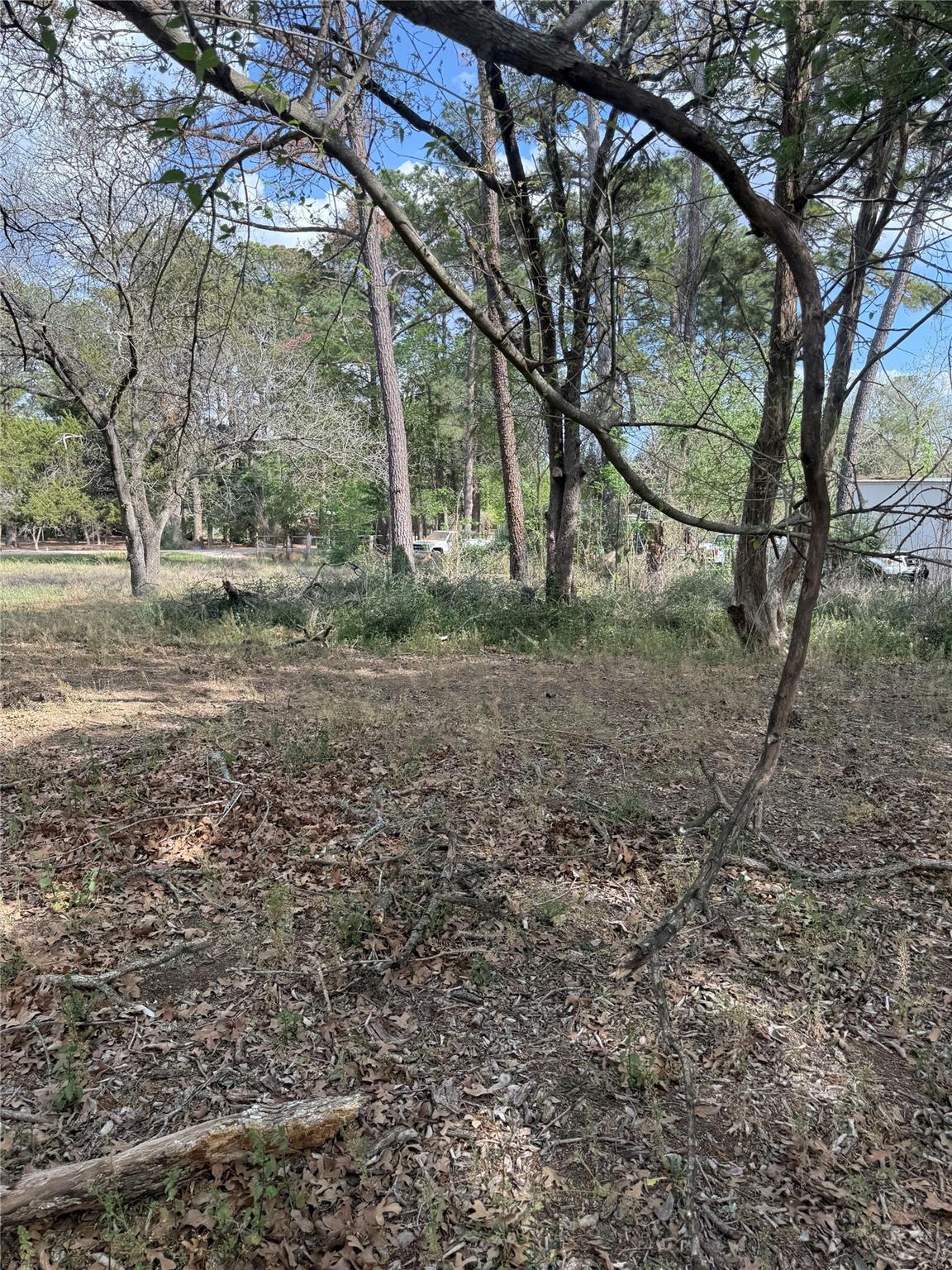 Lot 141 Pine Song, Bastrop, TX 78602