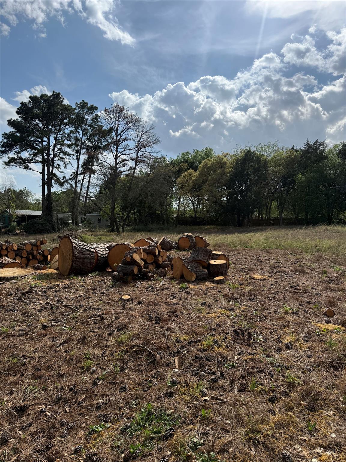 Lot 142 Pine Song, Bastrop, TX 78602