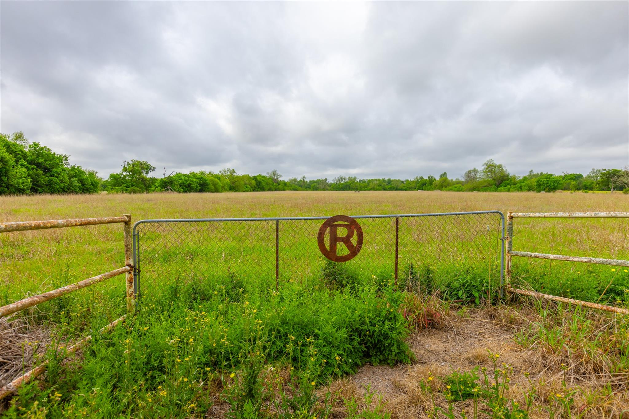 18.45 Acres FM 1660, Taylor, TX 76574