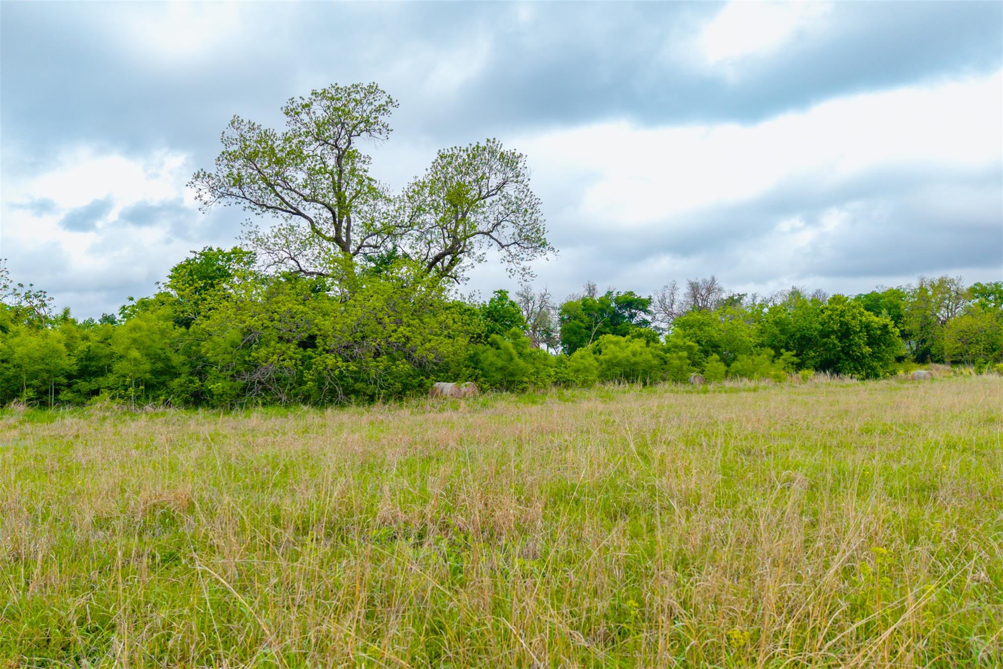 18.45 Acres FM 1660, Taylor, TX 76574