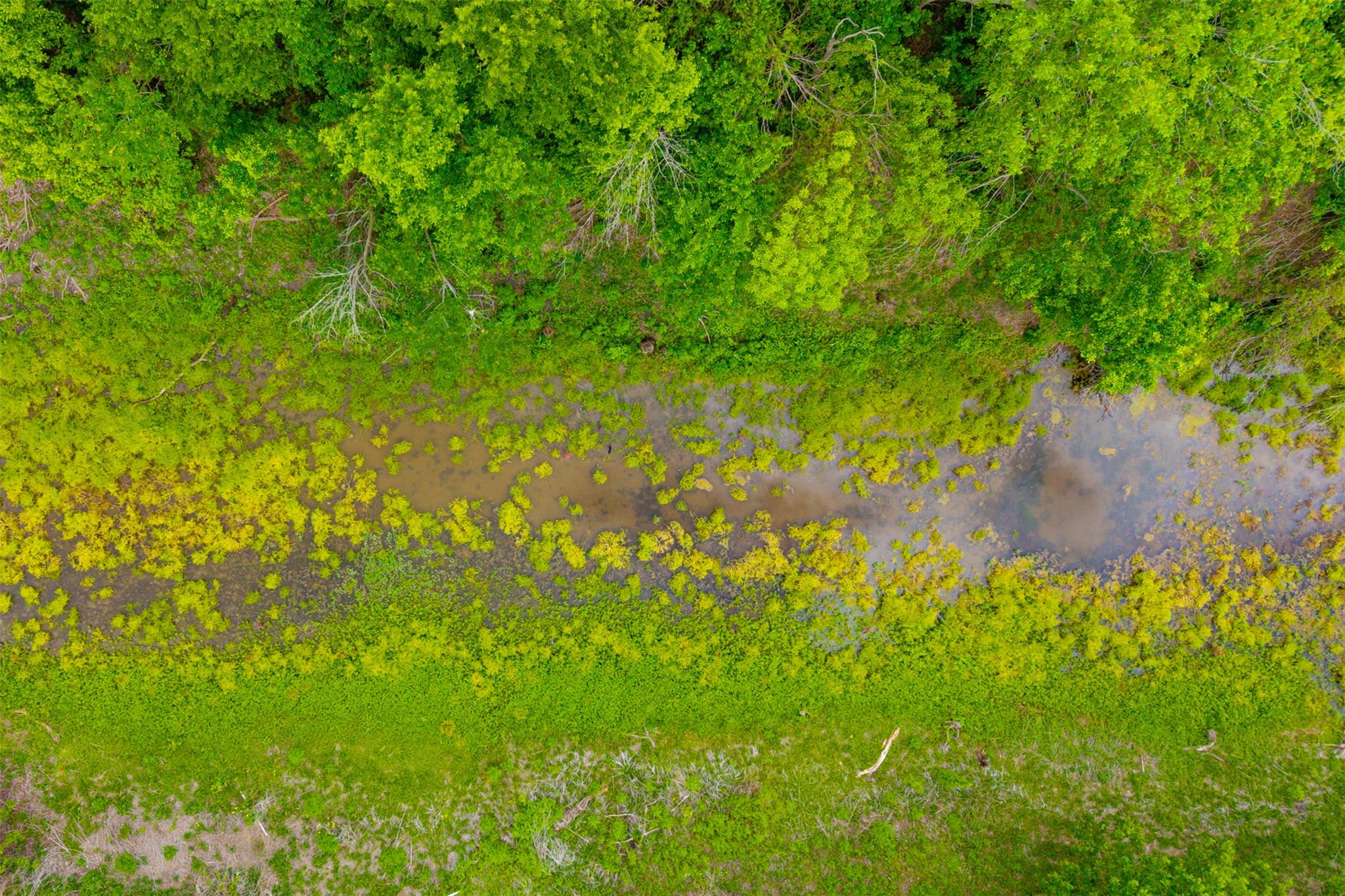 18.45 Acres FM 1660, Taylor, TX 76574