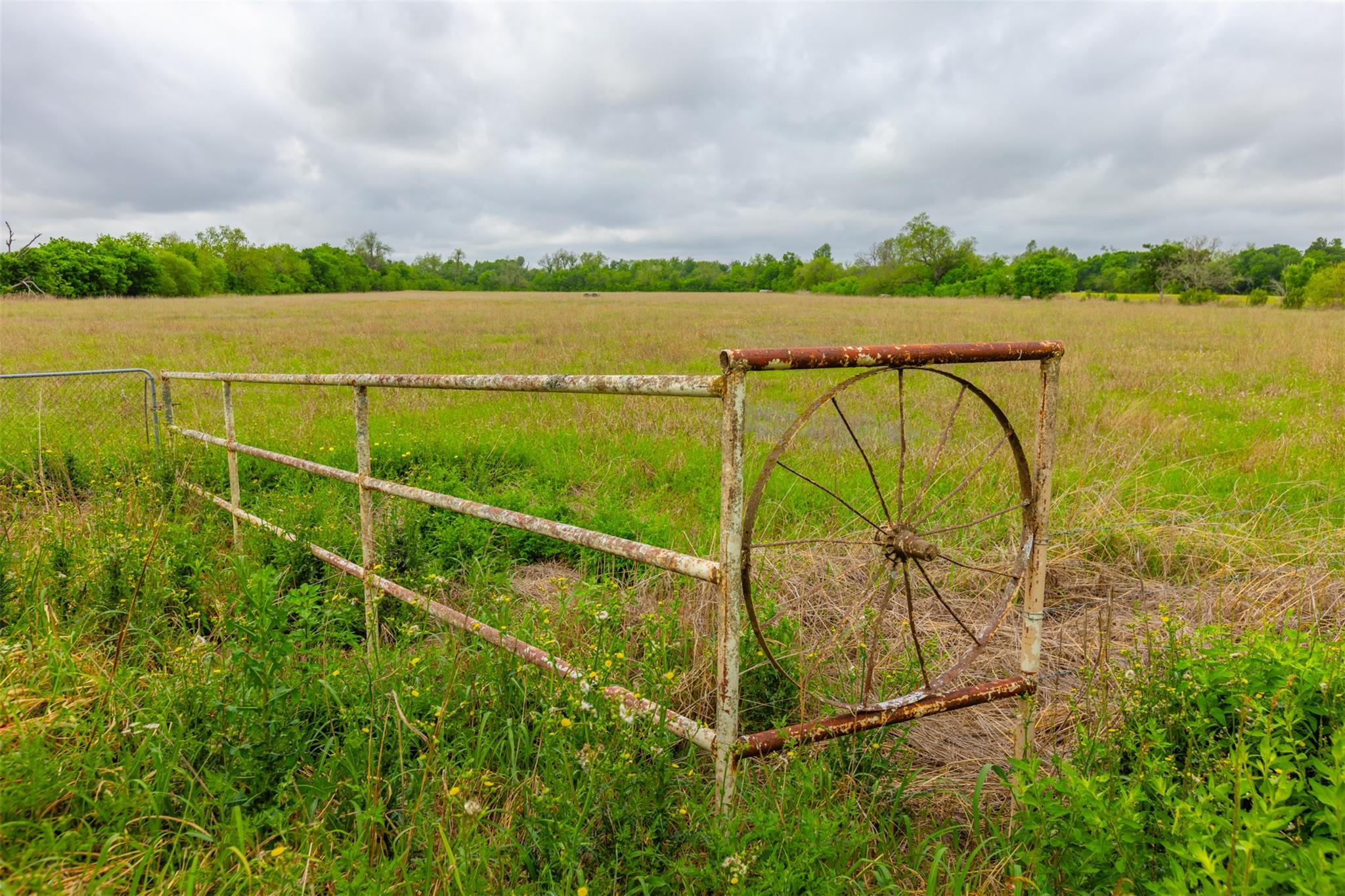 18.45 Acres FM 1660, Taylor, TX 76574