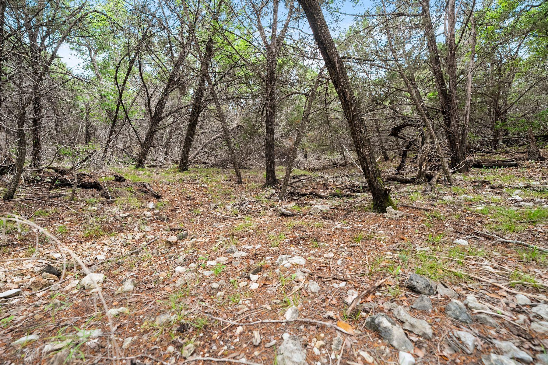 125 Covington Cv, Georgetown, TX 78628