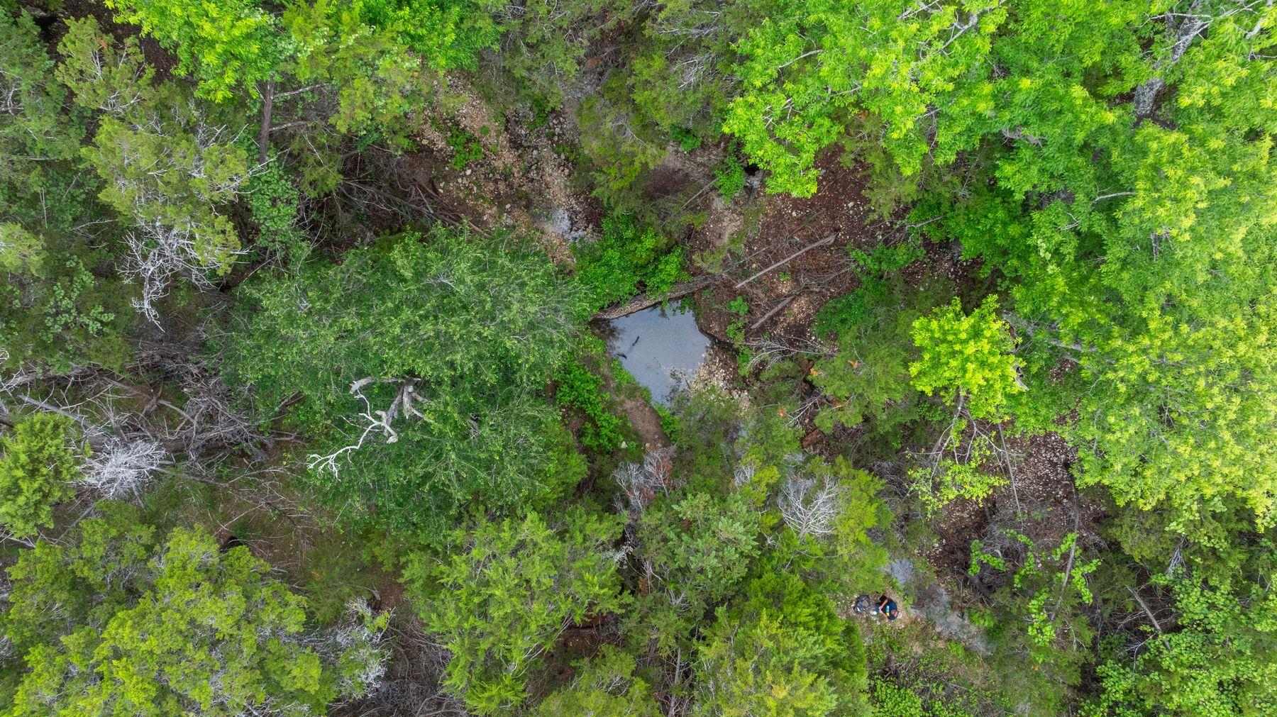 125 Covington Cv, Georgetown, TX 78628