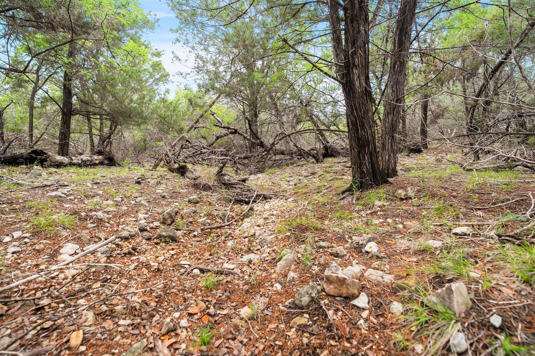 125 Covington Cv, Georgetown, TX 78628