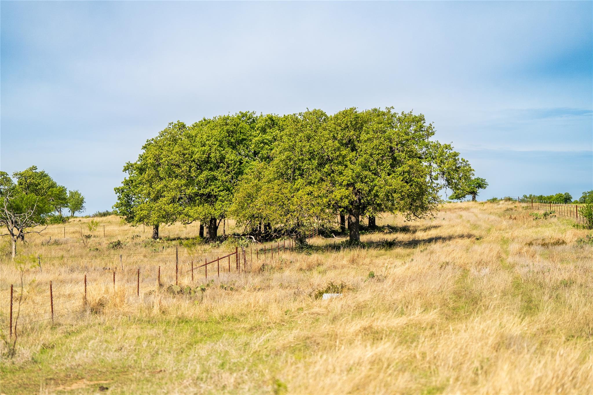 12350-65 N Hwy 16 Highway, Fredericksburg, TX 78624