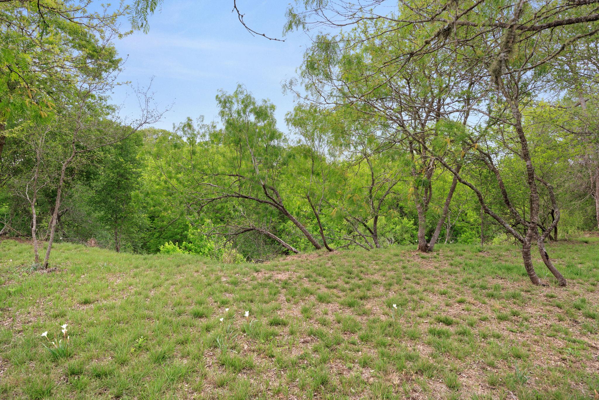 372 Raptor Beak Way, Cedar Creek, TX 78612