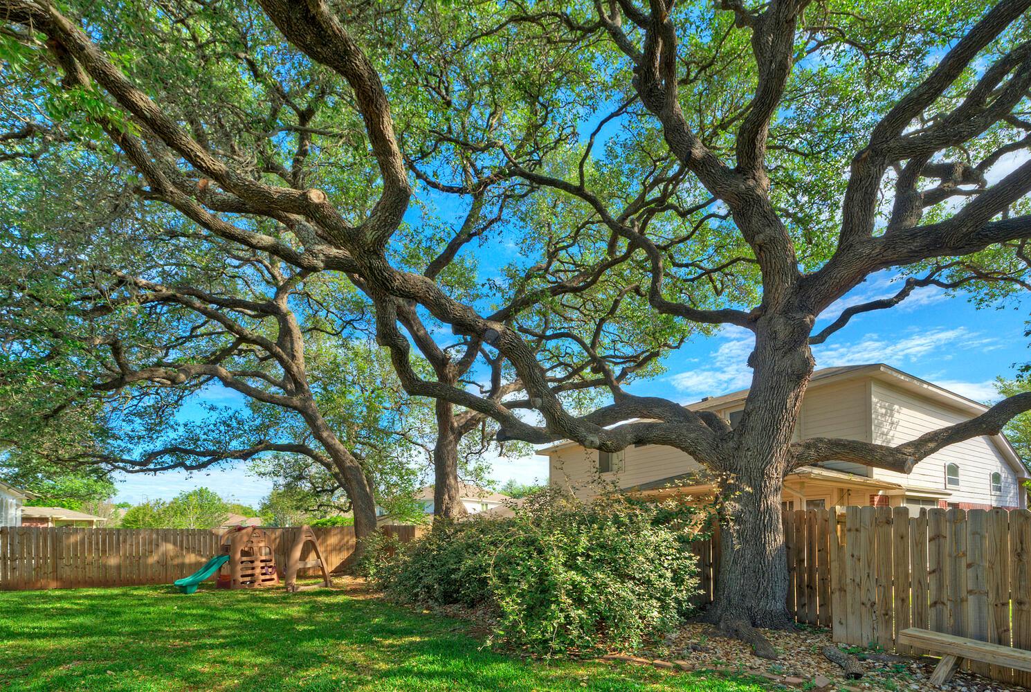 4518 Tello Path, Austin, TX 78749