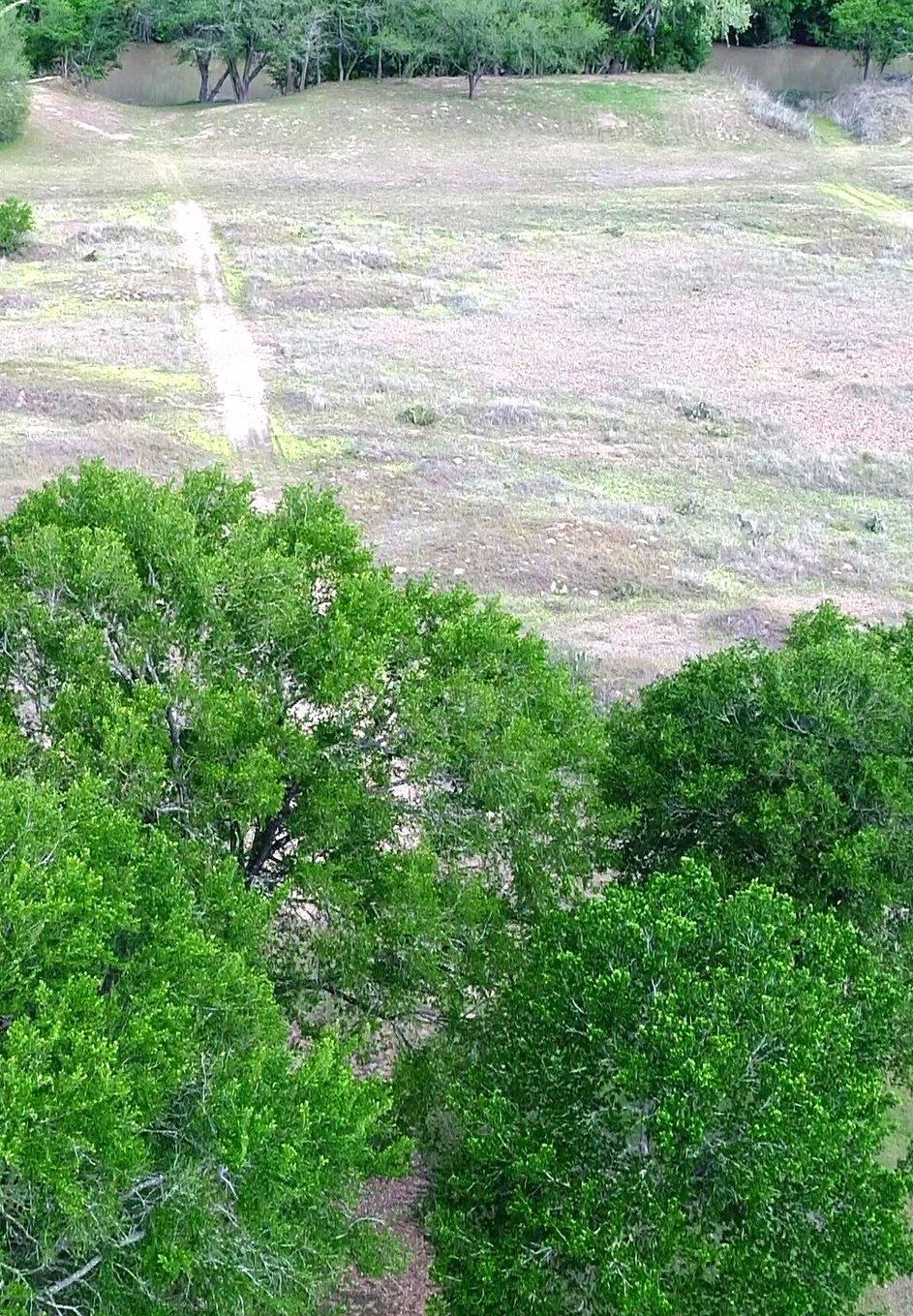 195 Hidden Shores Loop, Smithville, TX 78957