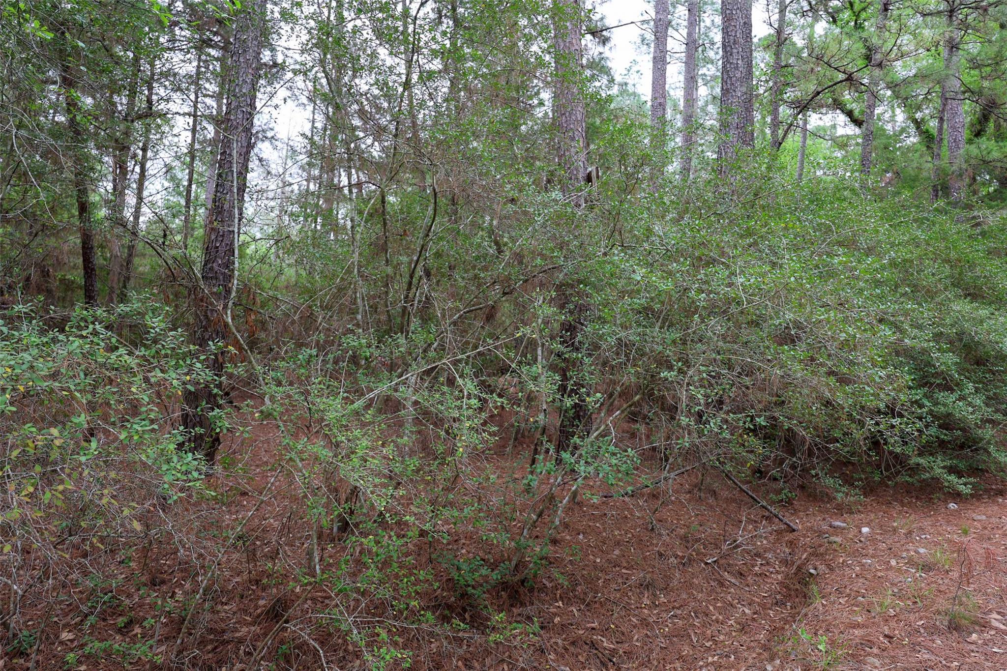 TBD Red Fox Rd, La Grange, TX 78945