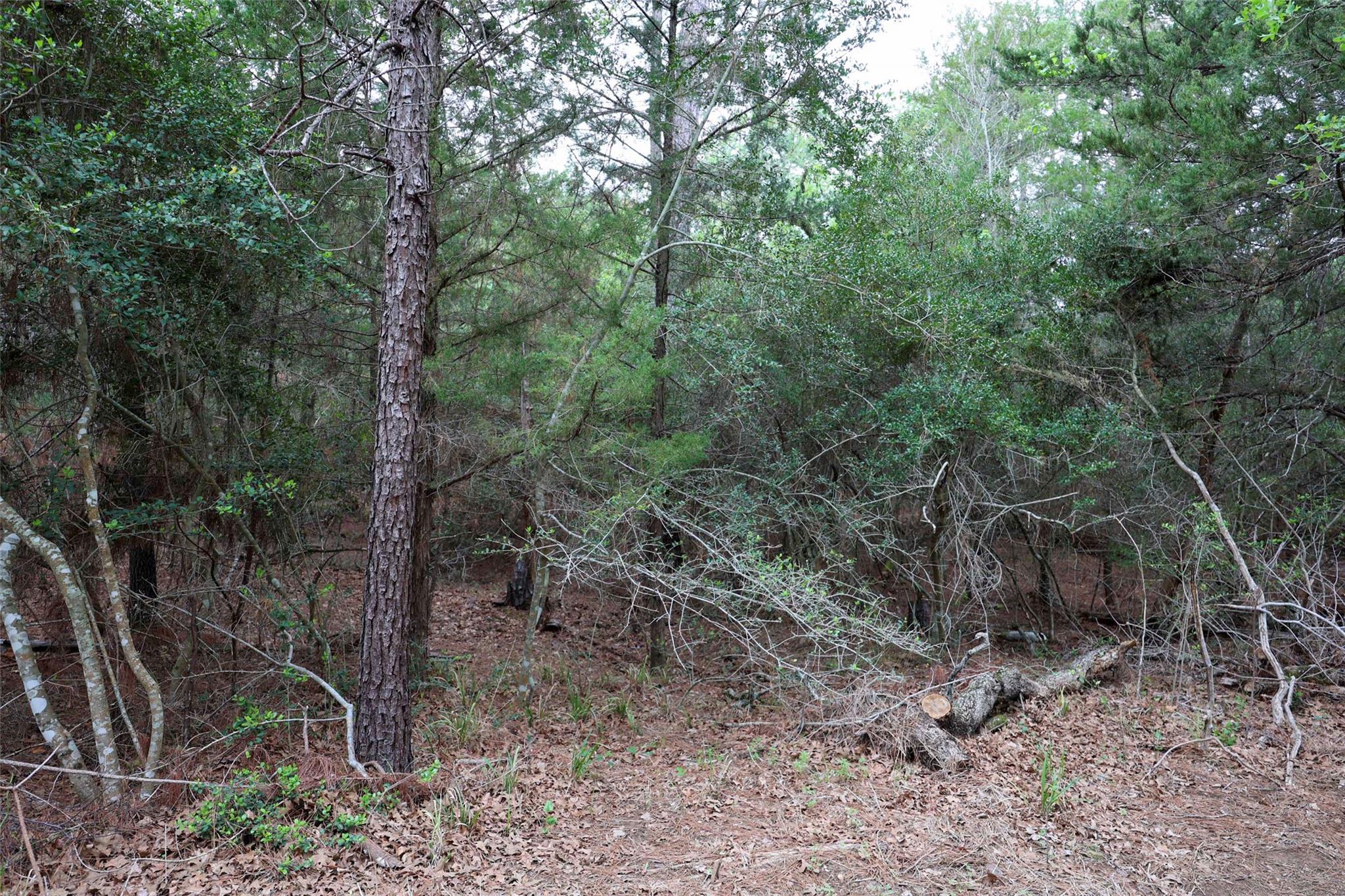 TBD Red Fox Rd, La Grange, TX 78945