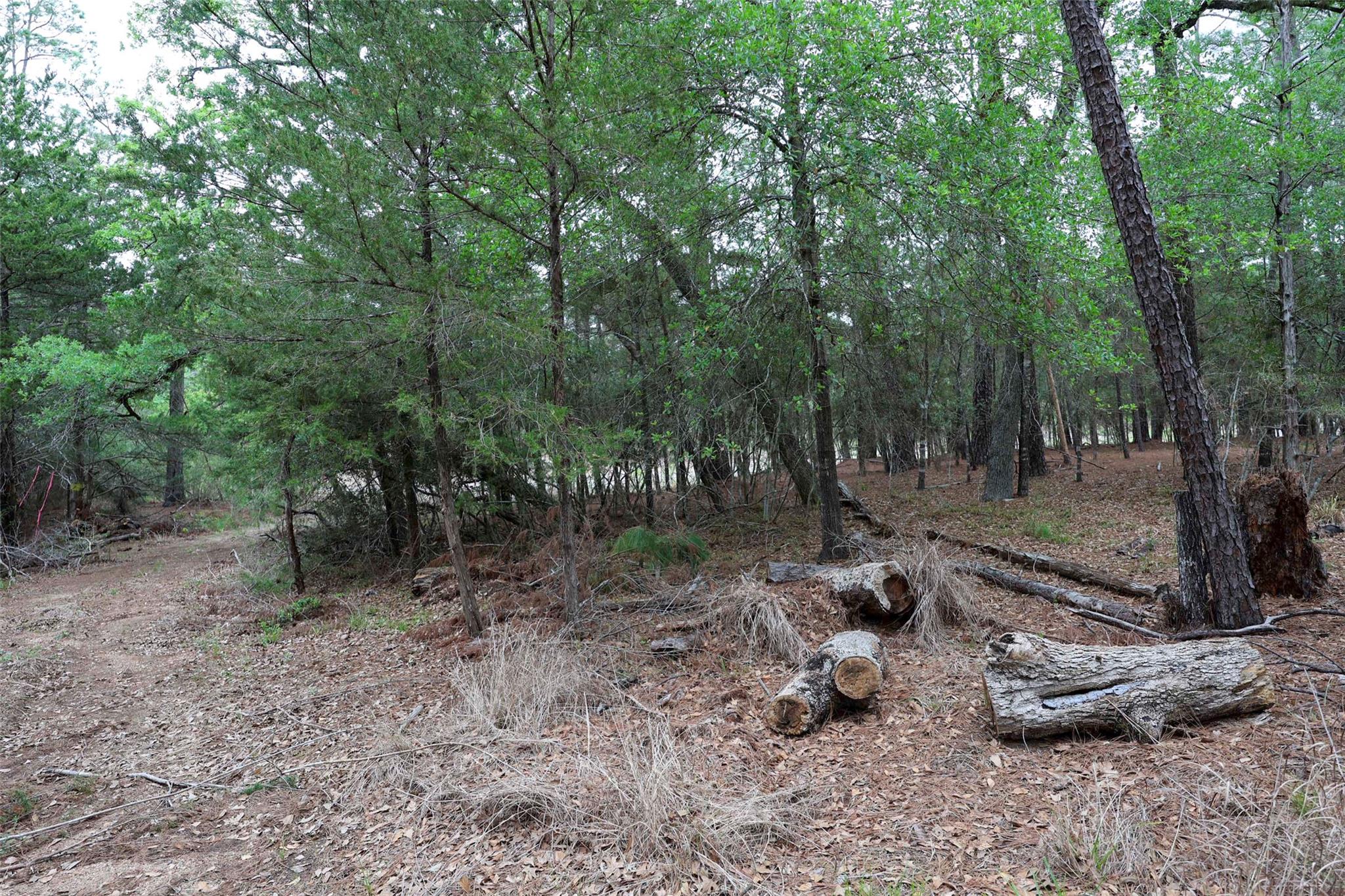 TBD Red Fox Rd, La Grange, TX 78945