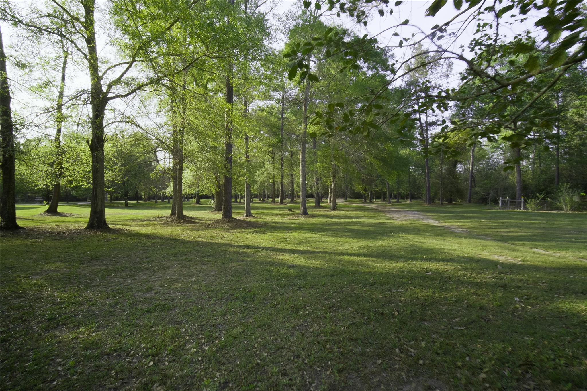 1815 Fm 82, Newton, TX 75956