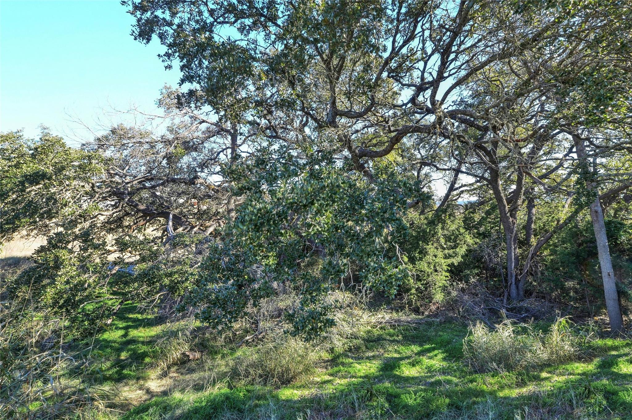 424 Red Buckeye Loop, Liberty Hill, TX 78642